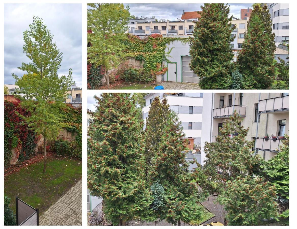 Modernes Einraumzimmer Mit Eigenem Bad, Balkonnutzung, Zentrumsnah - In 10 Minuten Mit Dem Rad Oder Dem Oepnv Zur Arena Und In Leipzigs Innenstadt Exterior photo